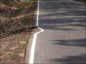 thats-not-my-job